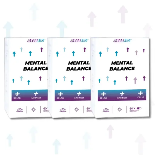 [PACKMB02] Pack MENTAL BALANCE (3x60 caps)